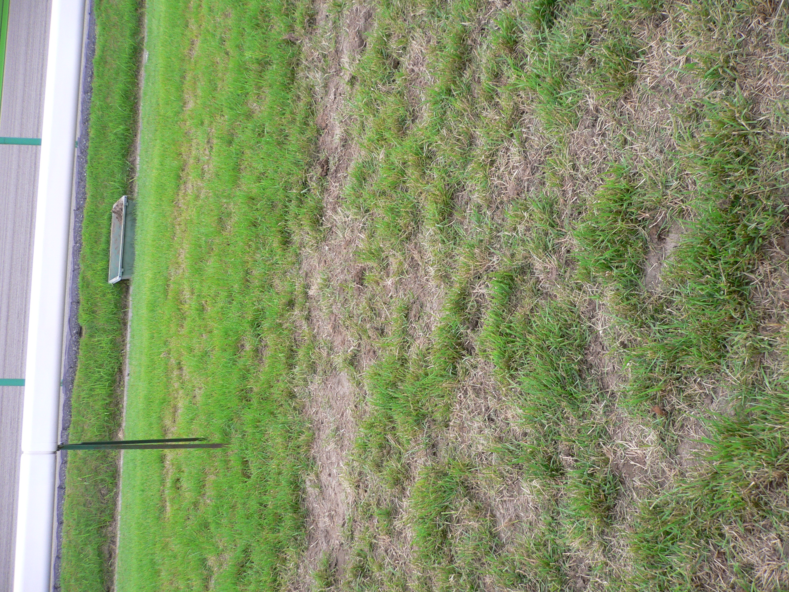 P1010196.JPG