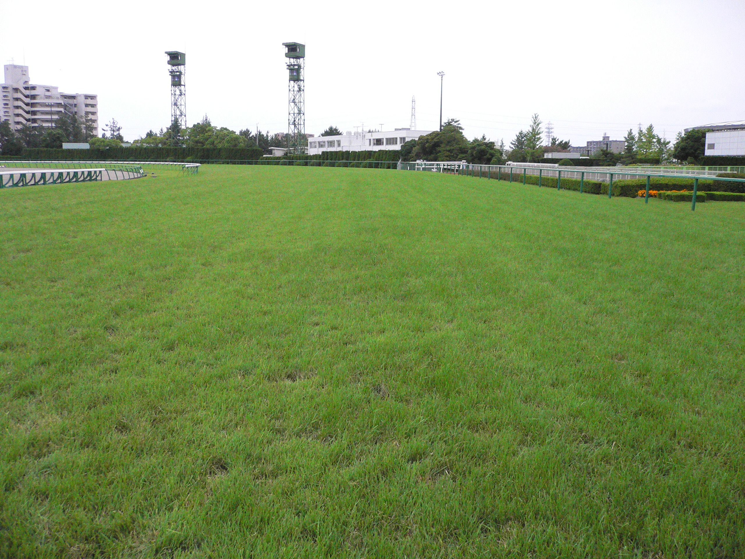 P1010222.JPG