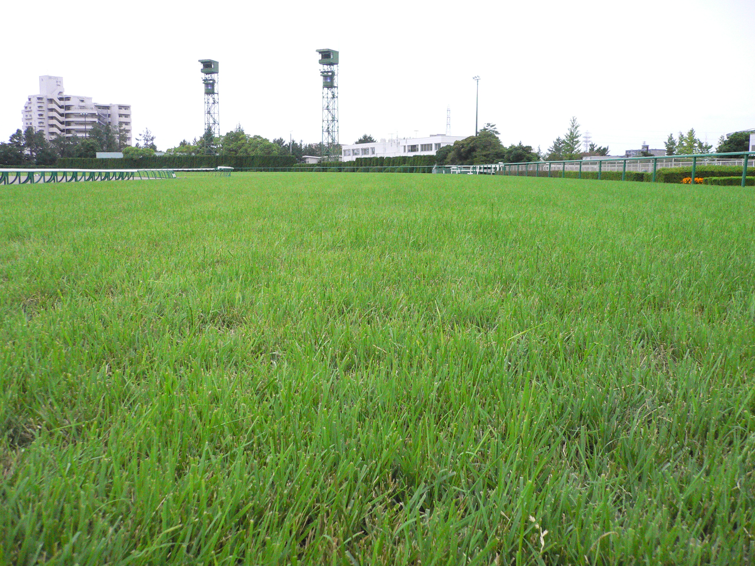 P1010223.JPG